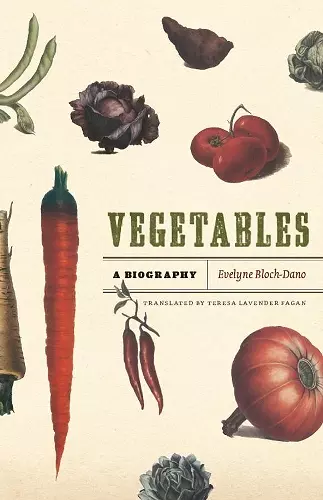 Vegetables cover