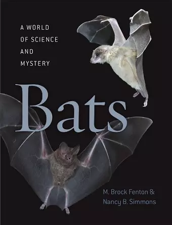 Bats cover