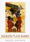 Socrates and the Fat Rabbis cover