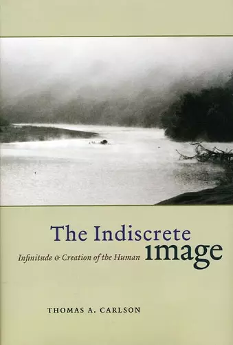 The Indiscrete Image cover