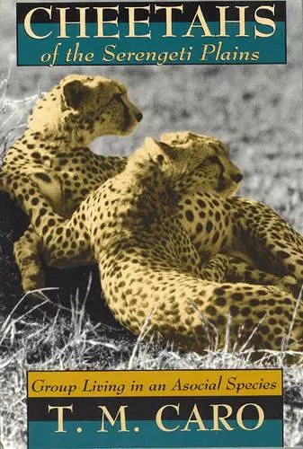 Cheetahs of the Serengeti Plains cover