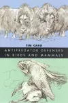 Antipredator Defenses in Birds and Mammals cover