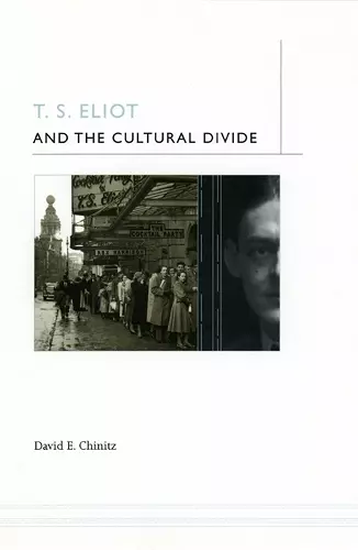 T. S. Eliot and the Cultural Divide cover