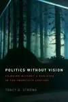 Politics without Vision cover