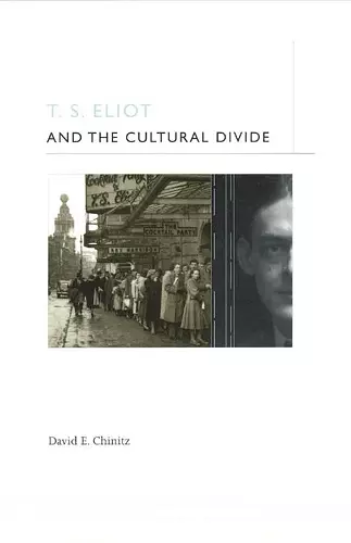 T. S. Eliot and the Cultural Divide cover