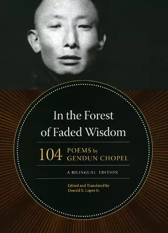 In the Forest of Faded Wisdom cover