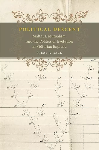 Political Descent cover