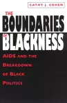 The Boundaries of Blackness – AIDS and the Breakdown of Black Politics cover