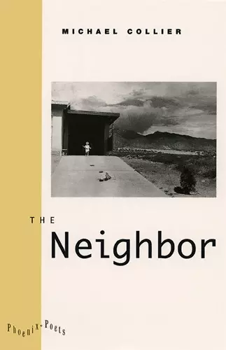 The Neighbor cover