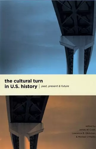 The Cultural Turn in U. S. History cover