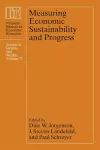 Measuring Economic Sustainability and Progress cover