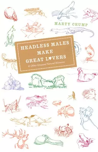 Headless Males Make Great Lovers cover