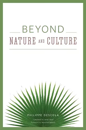 Beyond Nature and Culture cover