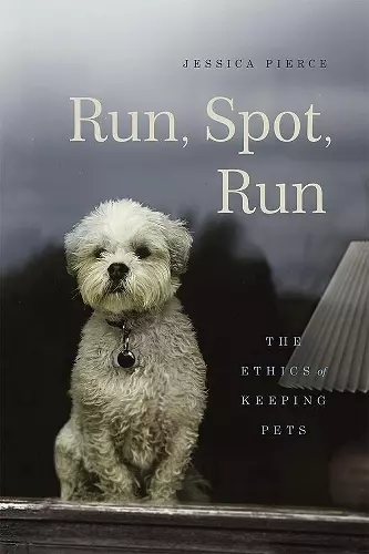 Run, Spot, Run cover