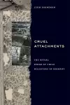 Cruel Attachments cover