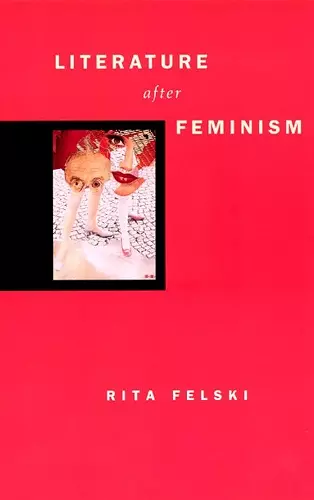 Literature after Feminism cover