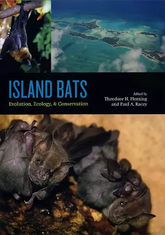 Island Bats cover