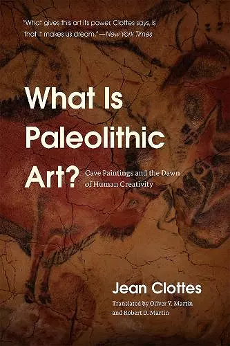 What Is Paleolithic Art? cover