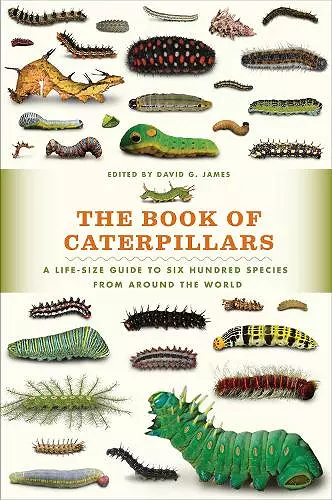 The Book of Caterpillars cover