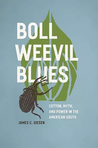 Boll Weevil Blues cover