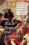 Black Patriots and Loyalists cover