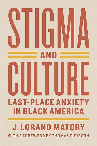 Stigma and Culture cover