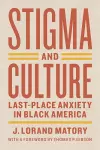Stigma and Culture cover