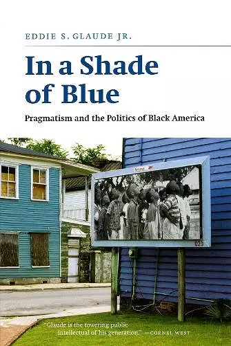 In a Shade of Blue cover