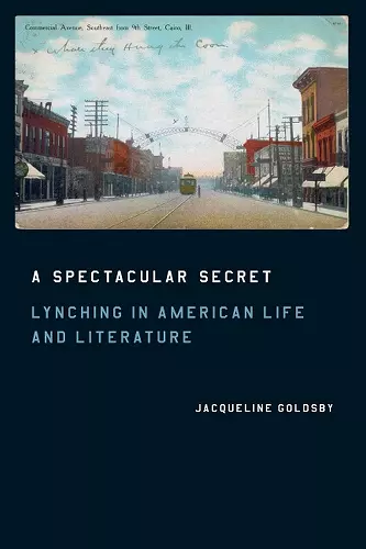 A Spectacular Secret cover