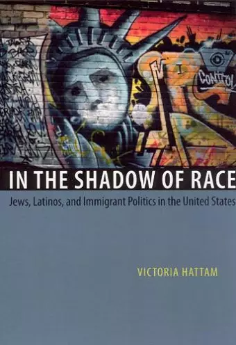 In the Shadow of Race cover