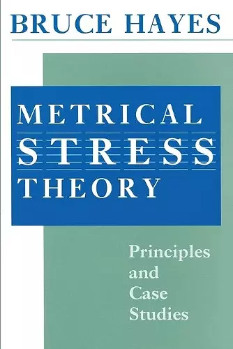 Metrical Stress Theory cover