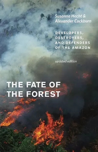 The Fate of the Forest cover