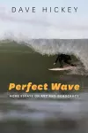 Perfect Wave – More Essays on Art and Democracy cover