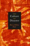 The Culture of Disaster cover