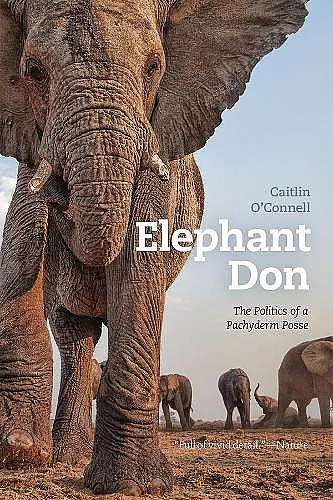 Elephant Don cover