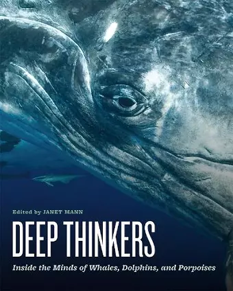 Deep Thinkers cover