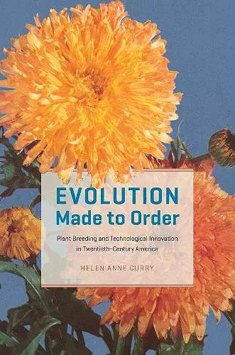 Evolution Made to Order cover