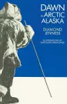 Dawn in Arctic Alaska cover