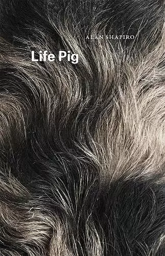 Life Pig cover