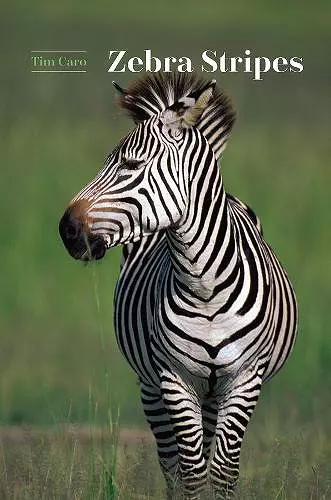 Zebra Stripes cover