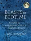 Beasts at Bedtime cover