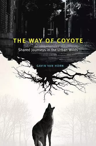 The Way of Coyote cover