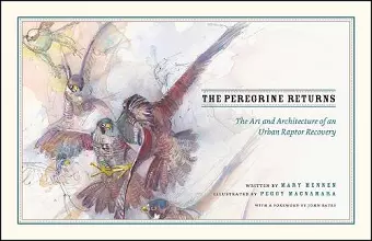 The Peregrine Returns cover