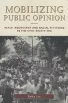 Mobilizing Public Opinion cover