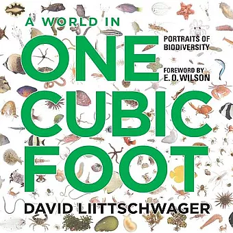 A World in One Cubic Foot cover
