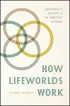 How Lifeworlds Work cover