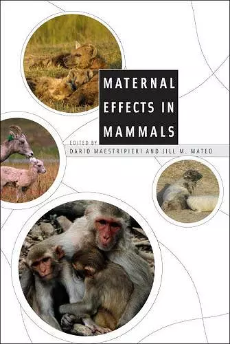 Maternal Effects in Mammals cover