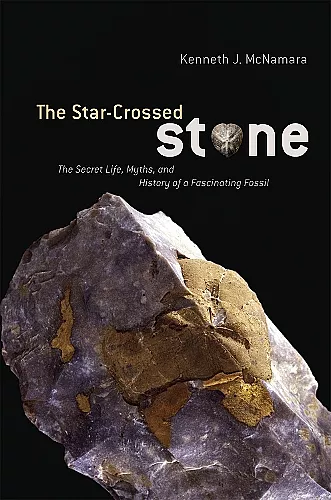 The Star-Crossed Stone cover