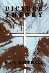 Picture Theory cover