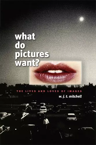 What Do Pictures Want? cover